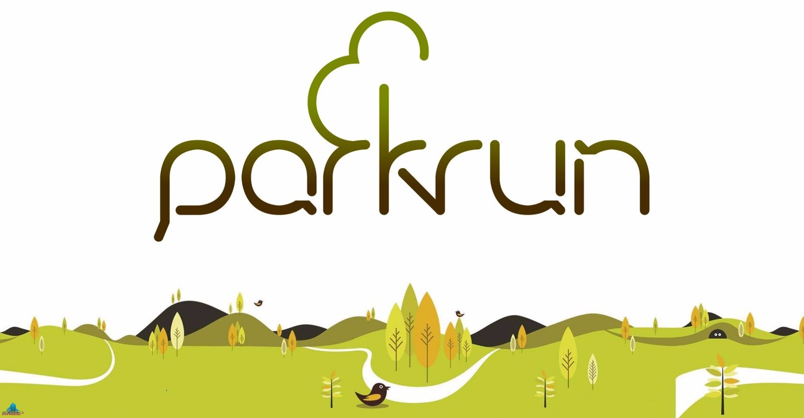 What Is Parkrun? A Beginner’s Guide (From Someone Who Started at mid-40s)